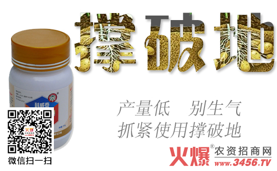 撑破地产品