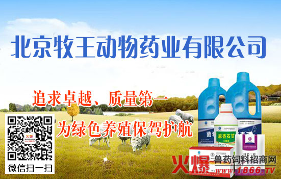 牧王药业与火爆兽药饲料招商网携手合作,共创未来