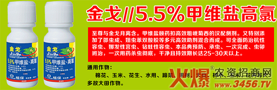 萱化威远与火爆网合作战略再升级