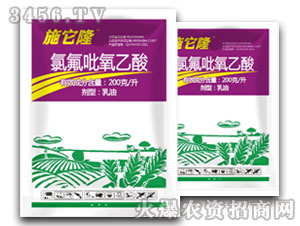 玉磺硐A+B