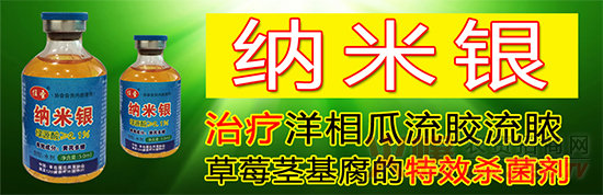 千载难逢 机会难得 任圣商贸喜获“十重大礼包”