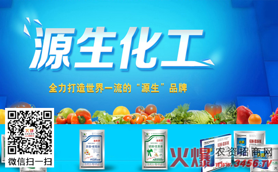 江苏南京源生化工股份有限公司