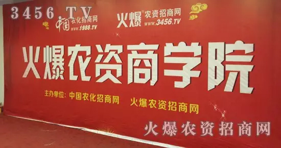 火爆网