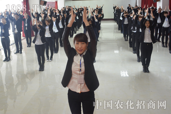 营造团队精神 携手展望未来