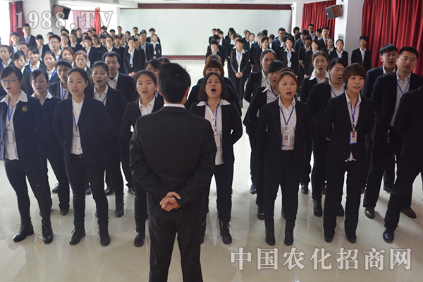 营造团队精神 携手展望未来