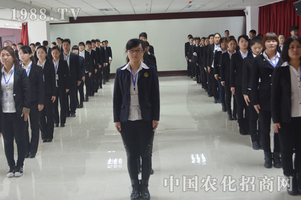 善待每一次遇见,珍惜每一份情谊
