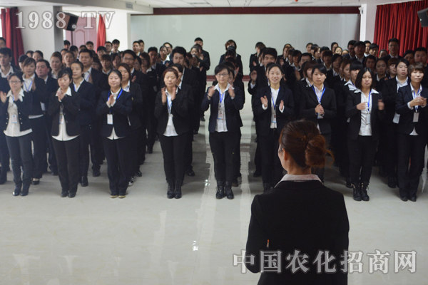 团结就是战斗力