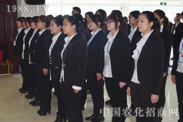 尽力而为还是全力以赴