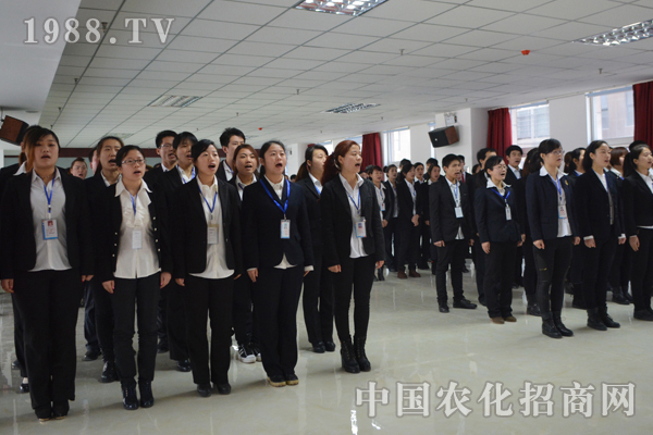 只因我们全力以赴