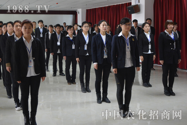 火爆的发展靠团队