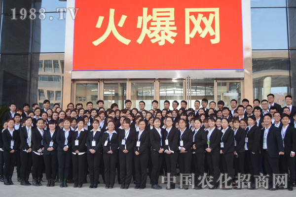 团结合作让成功更靠近