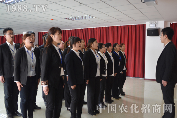 员工抱成团 公司才能“无懈可击”