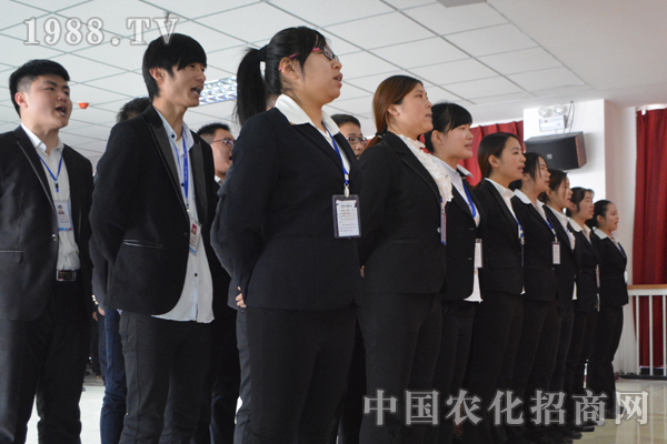 因为我们是一个团队