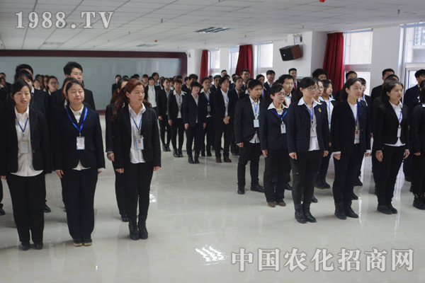 什么样的团队才能够所向披靡?