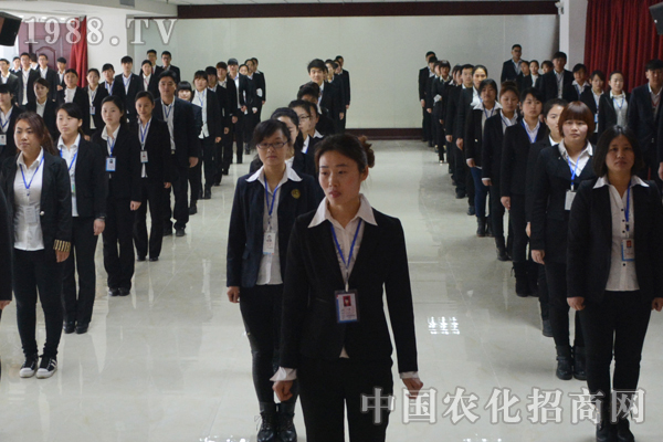 团队协作是雄鹰之翅