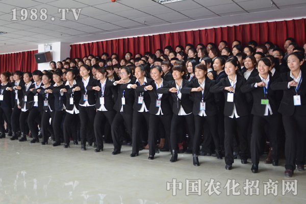 那些年 团队教给我的