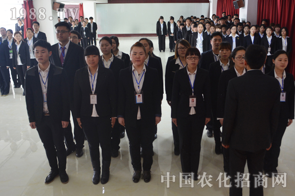 团结的队伍才是团队
