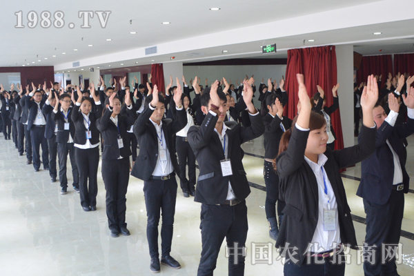 你是尽力而为还是全力以赴?