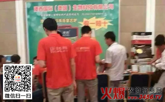 火爆网