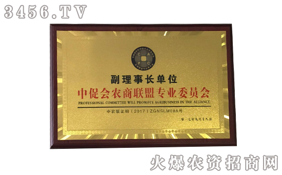 火爆网