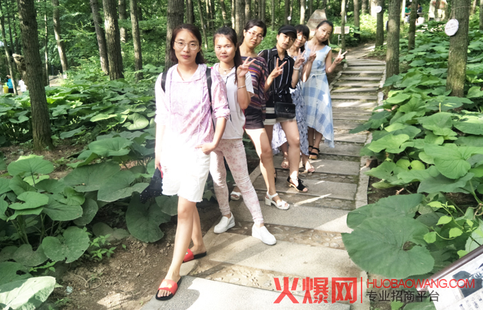 火爆网