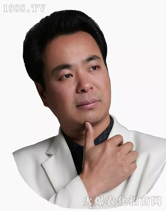 火爆网