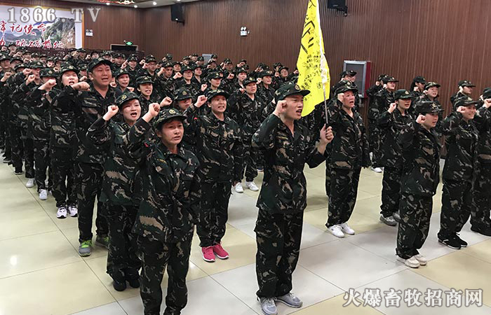 齐心协力,才能创造奇迹